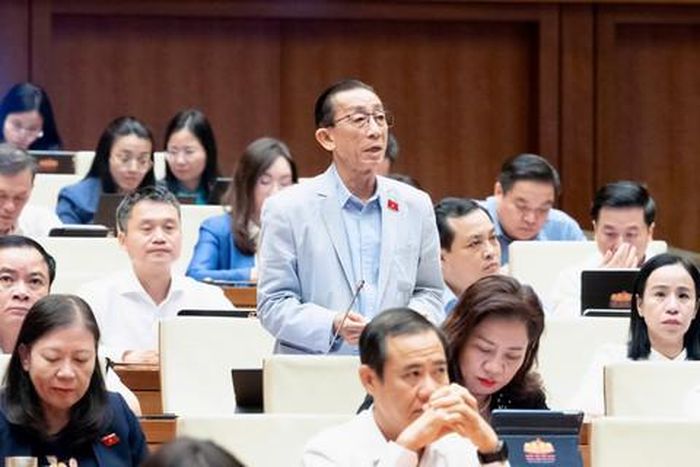 Đại biểu Trần Hoàng Ngân - Đoàn ĐBQH TP Hồ Chí Minh