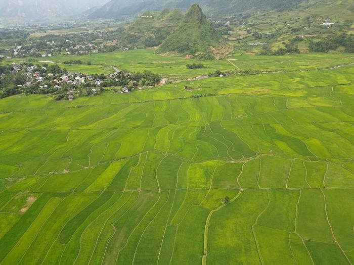 Tiếng rì rào của lúa reo trong gió, tiếng dòng nước chảy róc rách qua các mương, tiếng chim hót líu lo đâu đó trên dải rừng xa... tất cả hòa tấu nên bản nhạc đồng quê bình dị mà vô cùng xao xuyến.
