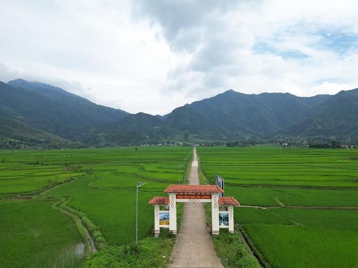 Đến Mường Than vào những ngày này là chọn tìm về một khoảng lặng dịu dàng của tâm hồn. Không ồn ào, không vội vã, cánh đồng Mường Than hiền hòa ôm trọn lấy du khách trong sắc xanh dịu mát và hương quê nồng nàn.