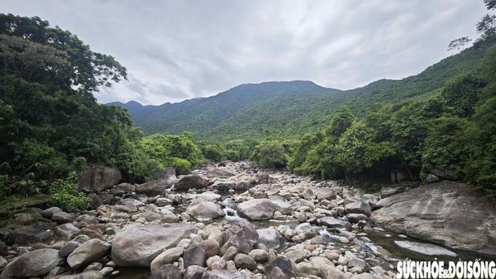Suối Voi nằm dưới chân núi Bạch Mã, thuộc xã Chân Mây - Lăng Cô (TP Huế), gây ấn tượng với dòng suối len giữa núi rừng và khối đá lớn mang hình dáng một con voi. Trước khi triển khai dự án khu du lịch nghỉ dưỡng, nơi đây từng được người dân đón khách và tổ chức các dịch vụ phục vụ du lịch. Từ vài hộ ban đầu, hoạt động kinh doanh tại Suối Voi từng phát triển lên hàng chục hộ. Ảnh: H.Dũng.