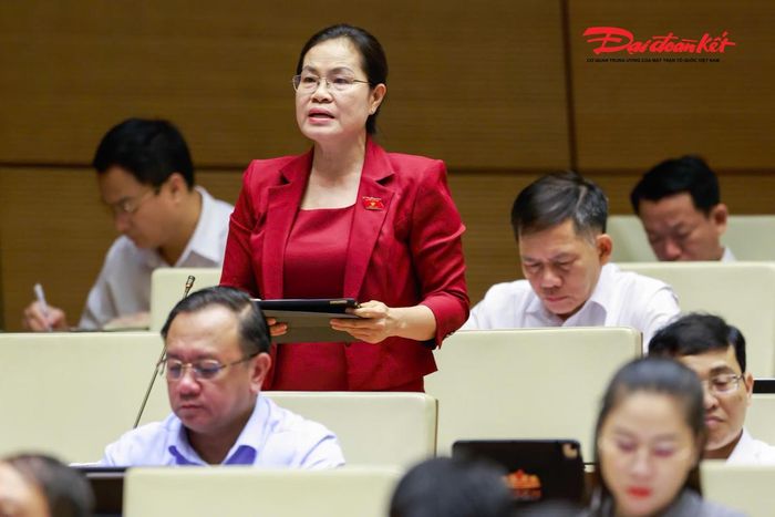 Đại biểu Nguyễn Thị Hồng Hạnh phát biểu (Ảnh: Quang Vinh)