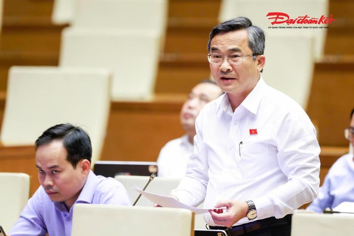 Đại biểu Nguyễn Phi Hùng phát biểu (Ảnh: Quang Vinh)