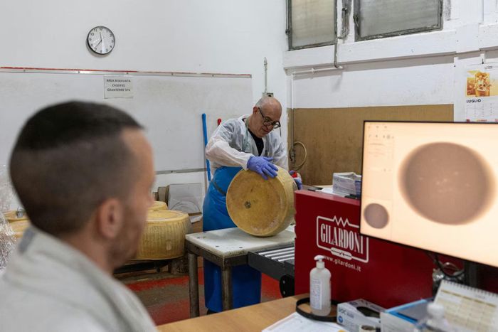  Các kỹ thuật viên dùng tia X để soi từng bánh Parmigiano Reggiano, phát hiện những lỗi mà mắt thường không thể nhìn thấy. Ảnh: Reuters. 