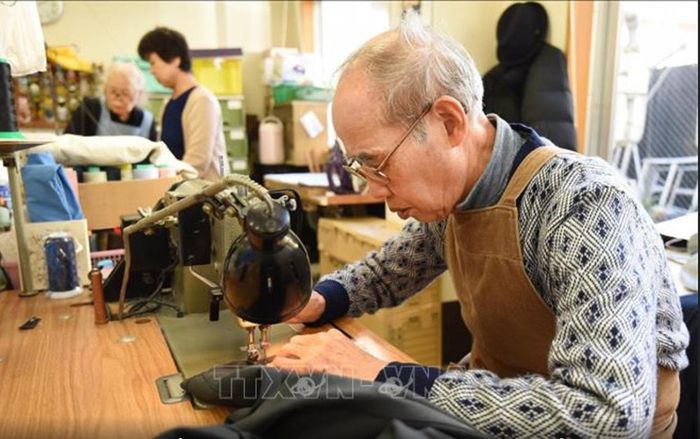 Người cao tuổi làm việc tại một trung tâm việc làm ở Tokyo, Nhật Bản. Ảnh: TTXVN