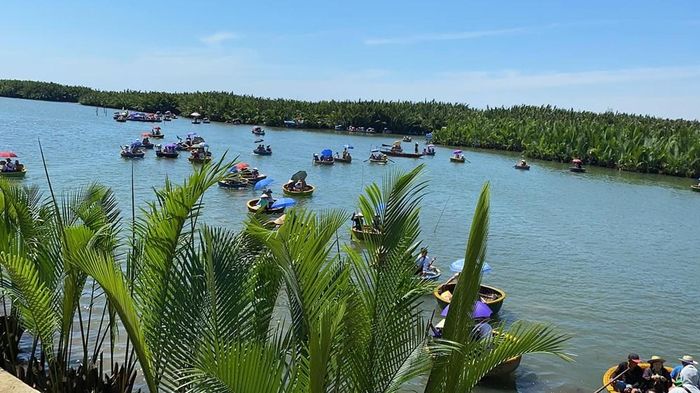 Khám phá vẻ đẹp sông nước của rừng dừa nước