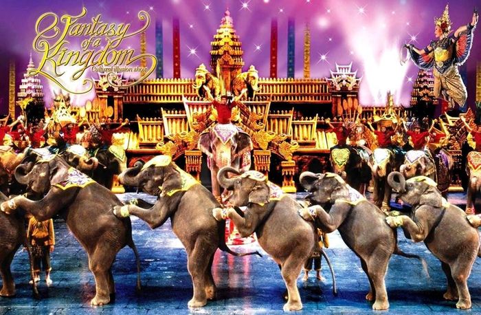 Các hiệp hội ngành nghề Thái Lan cũng đã nhận diện rõ nguy cơ trong lĩnh vực du lịch khi cạnh tranh với Việt Nam