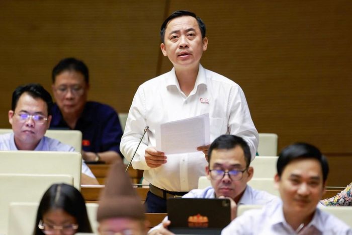 Đại biểu Đào Chí Nghĩa phát biểu