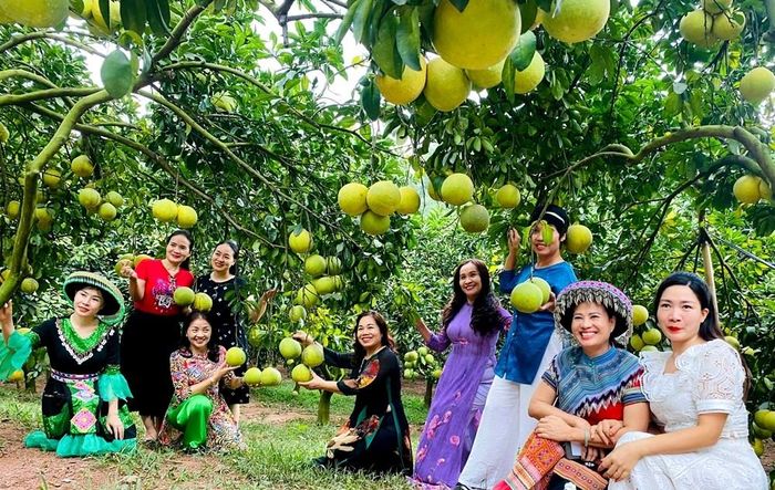 Sự kết hợp giữa trải nghiệm nông nghiệp với văn hóa, ẩm thực và cảnh quan nông thôn được xác định là một trong những hướng quan trọng để đa dạng hóa sản phẩm. Ảnh: NGUYỄN HƯỞNG