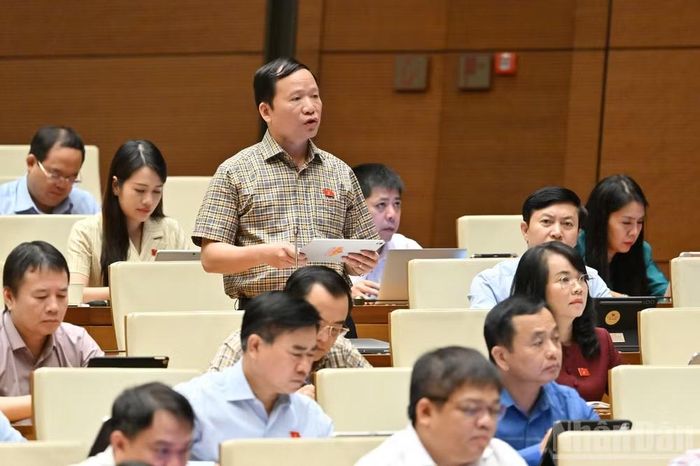 Đại biểu Nguyễn Đặng Ân (Đoàn Lạng Sơn).