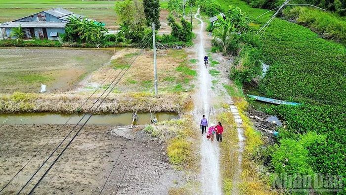 Người dân tuyến bờ Đông Kênh Đê trong đã tự bỏ tiền và ngày công nâng cấp mặt đường đất đen rộng, nhưng chỉ là giải pháp tạm thời, không thể giải quyết triệt để vấn đề đi lại bùn sình mỗi khi mưa về. (Ảnh: Hữu Tùng, tháng 7/2026)