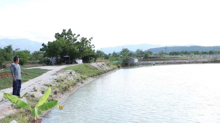 Người dân sản xuất gần khu vực hồ chứa nước Sông Biêu bơm nước từ hồ vào những bể chứa tự đào, chờ lắng, lọc rồi mới sử dụng tưới cho vườn táo, mãng cầu.