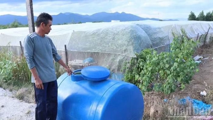 Anh Nguyễn Văn Sinh phải mua thêm nước sạch để pha với thuốc bảo vệ thực vật phun cho cây trồng sinh trưởng vào những thời điểm cần thiết.