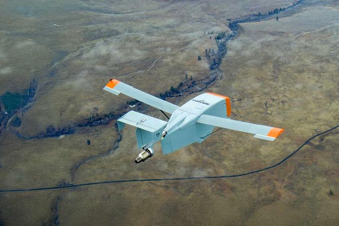Phiên bản gắn động cơ turbine của tàu lượn Grasshopper. Ảnh: Dzyne Technologies