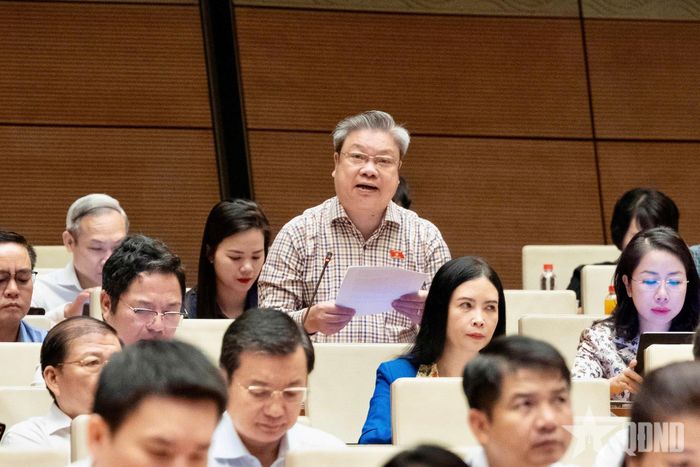Đại biểu Quốc hội Bùi Văn Dũng (tỉnh Thanh Hóa) phát biểu.