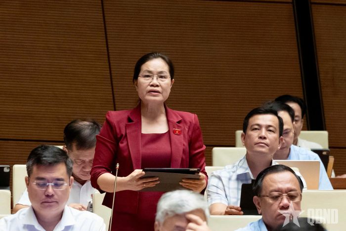 Đại biểu Quốc hội Nguyễn Thị Hồng Hạnh (TP Hồ Chí Minh) phát biểu.