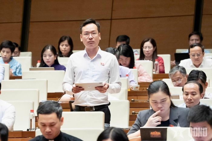 Đại biểu Quốc hội Chu Lương Trí phát biểu. Ảnh: TRỌNG HẢI