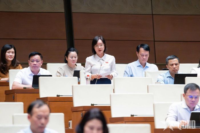 Đại biểu Quốc hội Thái Thị An Chung phát biểu. Ảnh: TRỌNG HẢI