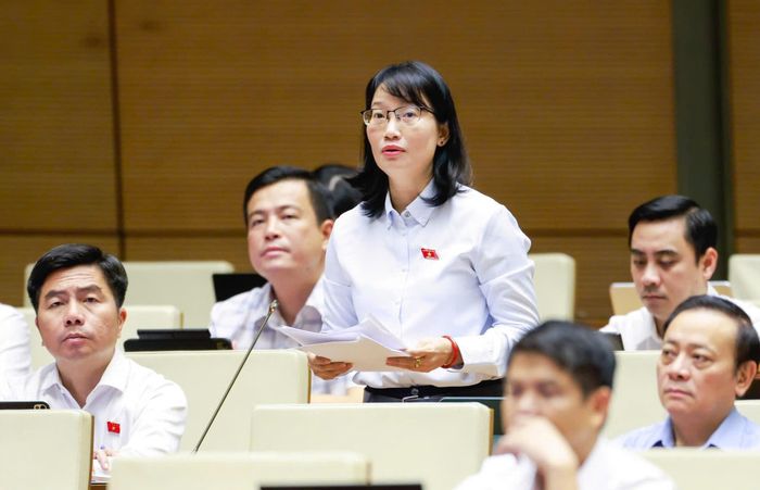  ĐB Trần Thị Diệu Thúy phát biểu tại phiên thảo luận. Ảnh: VIẾT CHUNG 