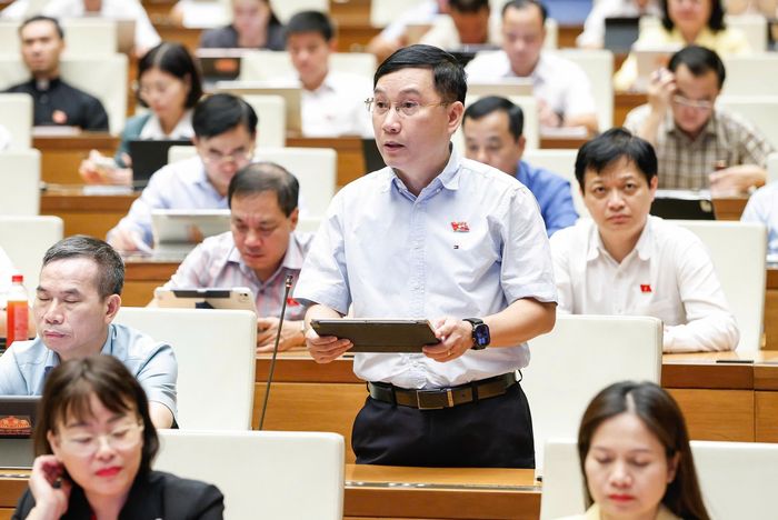  Đại biểu Lê Hoàng Anh (Gia Lai). Ảnh: VIẾT CHUNG 