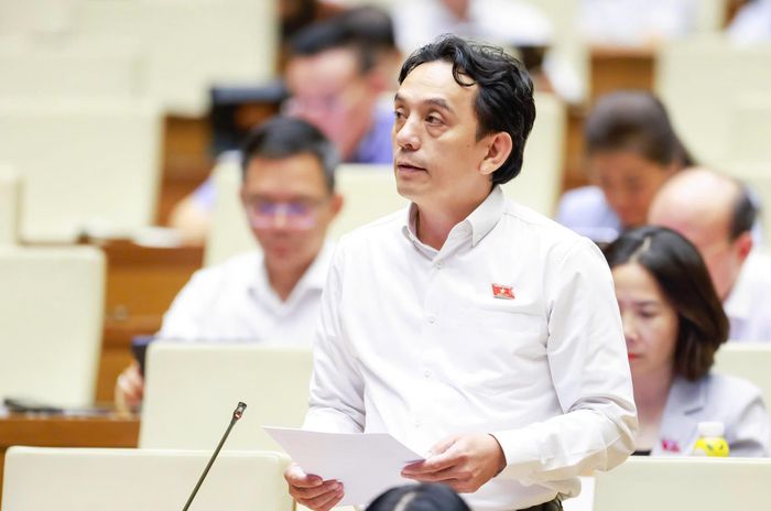  Đại biểu Trần Việt Anh phát biểu. Ảnh: VIẾT CHUNG 