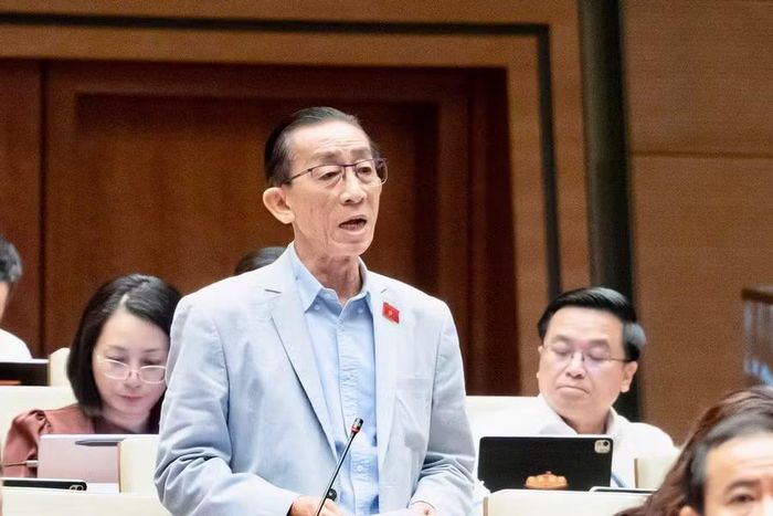 Đại biểu Trần Hoàng Ngân, Đoàn ĐBQH TPHCM.