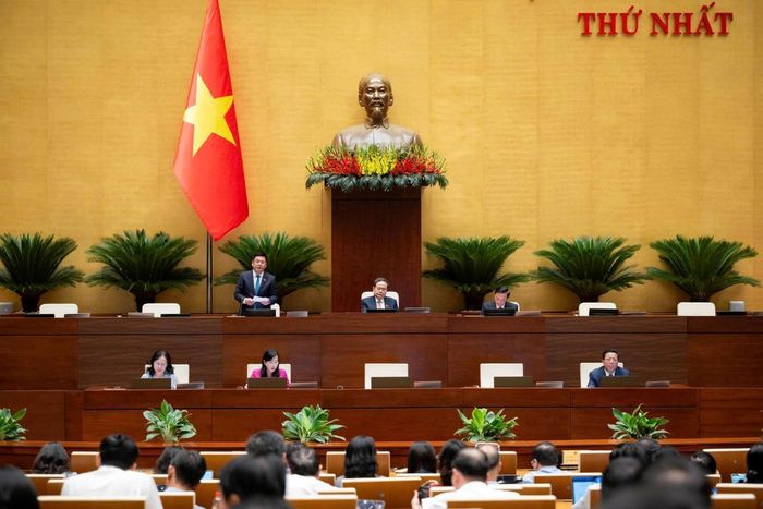 Phó Chủ tịch Quốc hội Nguyễn Hồng Diên điều hành phiên họp. Ảnh: quochoi.vn