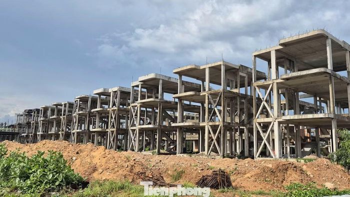 Theo thông tin giới thiệu, dự án được khởi công từ quý IV/2021 và dự kiến bàn giao vào quý IV/2023.