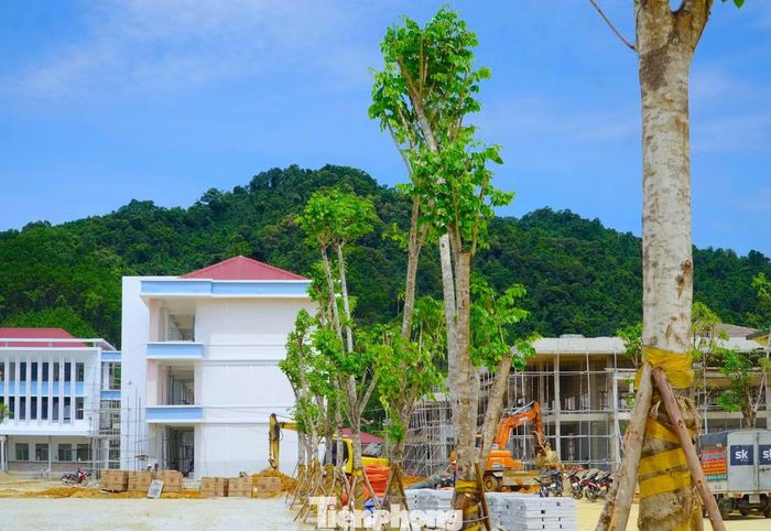  Các hạng mục cây xanh đã được trồng, khuôn viên trường dần hoàn thiện. Những dãy nhà học đang được công nhân tập trung xây dựng các phần việc cuối, từng bước tạo diện mạo khang trang cho ngôi trường mới. 