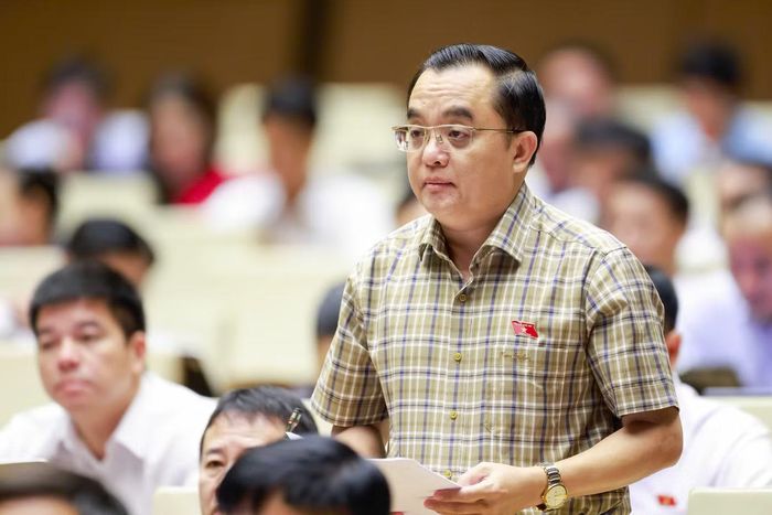 Đại biểu Huỳnh Ngọc Liêm. Ảnh: Như Ý