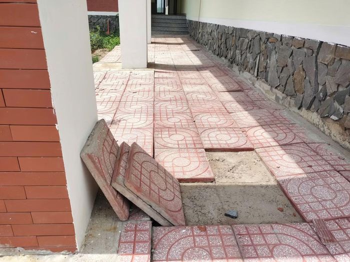 Hạng mục nhà nghiên cứu khoa học kỹ thuật, chuyển giao công nghệ có sân bị sụp lún, trôi cát nền.