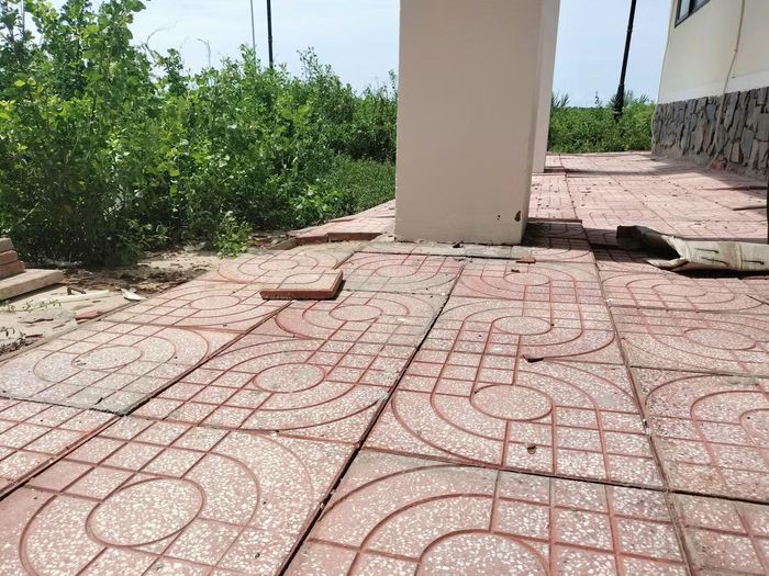 Dù khu nông nghiệp mới đưa vào vận hành từ tháng 4/2026, nhưng nhiều hạng mục hạ tầng khu nhà điều hành bắt đầu xuống cấp.
