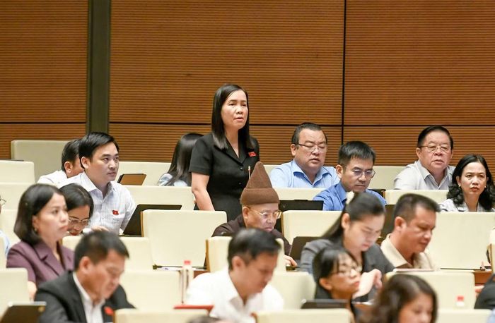 Đại biểu Trương Thị Diệu Thúy. Ảnh: Như Ý