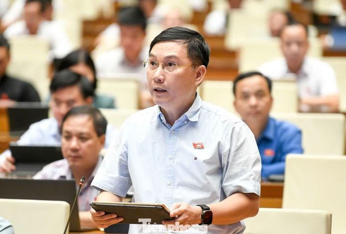  ĐBQH Lê Hoàng Anh. Ảnh: Như Ý. 
