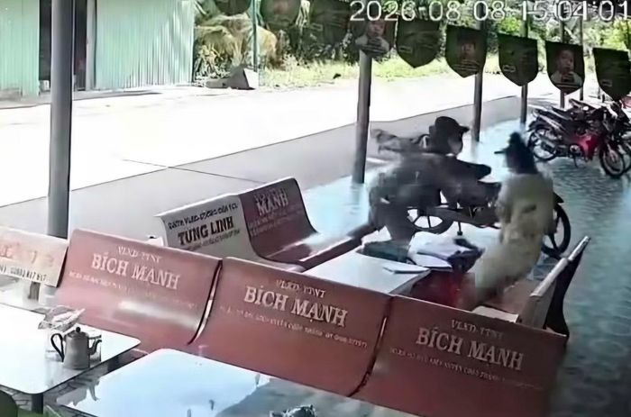 Hình ảnh đối tượng giật dây chuyền vàng của chủ tiệm tạp hóa được camera ghi lại.