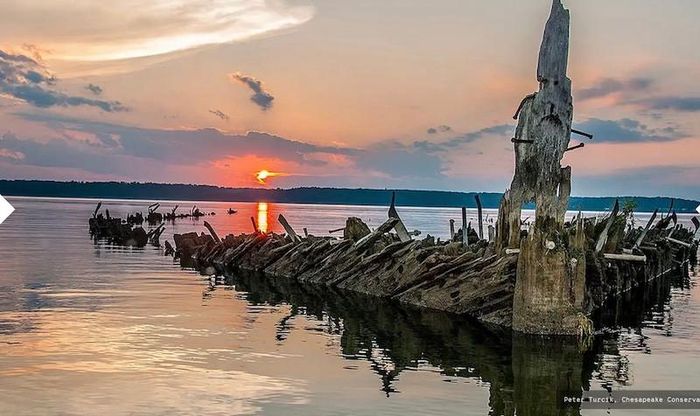 Phần còn sót lại của một con tàu trong "Hạm đội ma". Ảnh: Saving Place