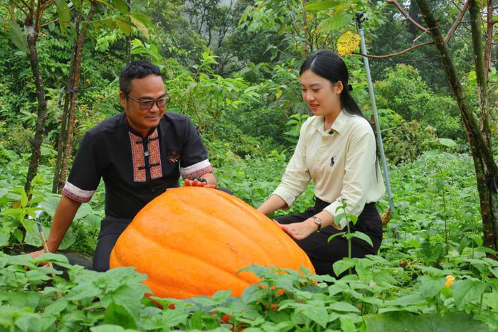 Ông Nguyễn Thanh Hải bên quả bí ngô nặng 126kg tại vườn. Ảnh: P.C