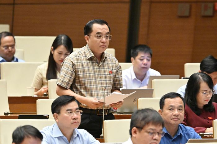 Đại biểu Huỳnh Ngọc Liêm phát biểu. Ảnh: QH