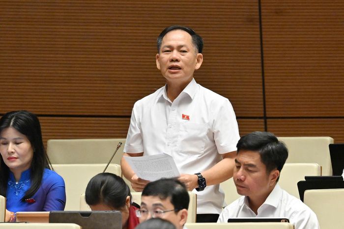 Đại biểu Trần Đình Gia. Ảnh: Phạm Hải