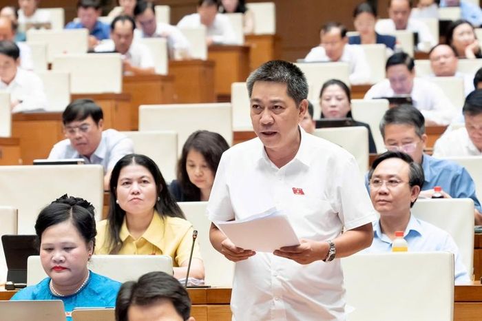 Đại biểu Nguyễn Tiến Nam phát biểu thảo luận.