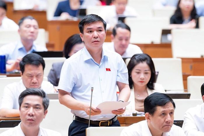 Đại biểu Hà Sỹ Huân phát biểu thảo luận.