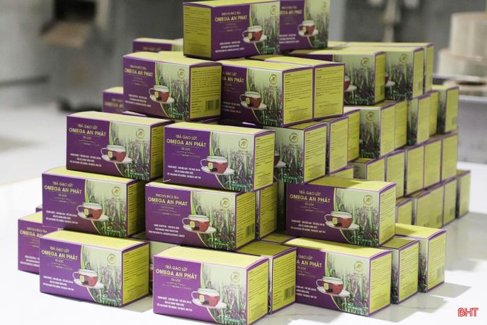 Công ty TNHH Khoa học và công nghệ An Phát đầu tư chế biến sâu các sản phẩm.