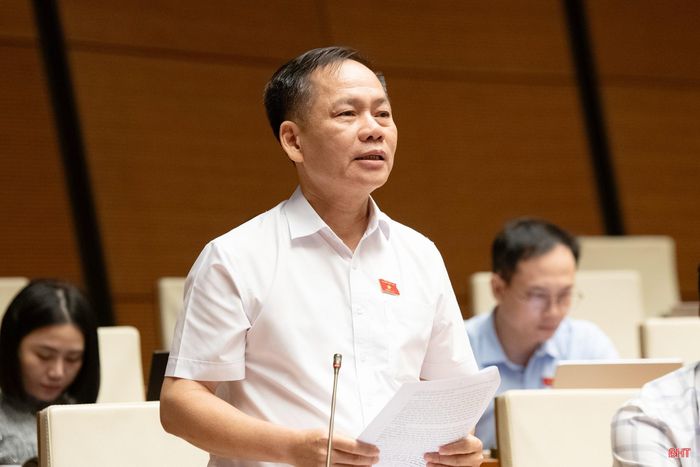 Đại biểu Trần Đình Gia - Phó Trưởng đoàn chuyên trách Đoàn ĐBQH tỉnh Hà Tĩnh phát biểu ý kiến.