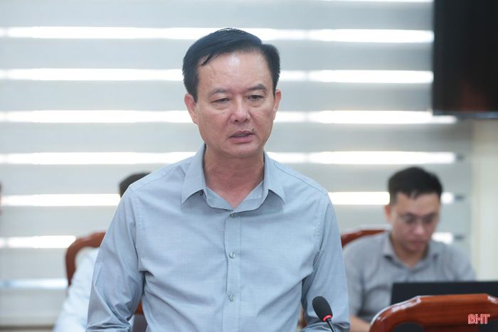 Phó Chủ tịch Thường trực UBND tỉnh Trần Báu Hà tham gia ý kiến tại cuộc làm việc.