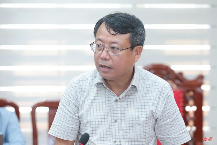 Phó Chủ tịch Thường trực HĐND tỉnh Dương Tất Thắng phát biểu tại cuộc làm việc.