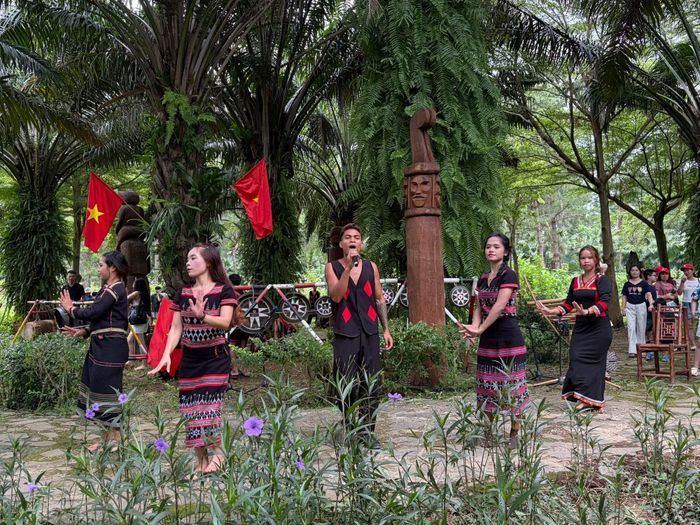 Đồng bào Tây Nguyên trình diễn dân ca, dân vũ cuối tuần qua. (Ảnh: Thu Lê/Vietnam+)