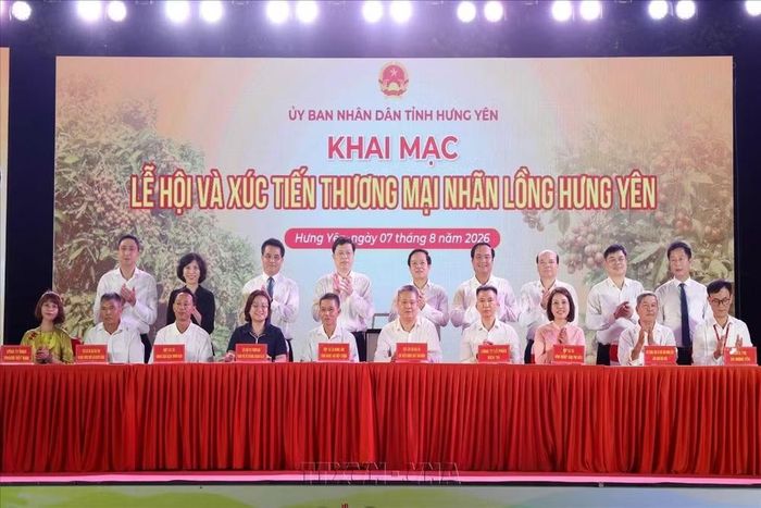 Các đơn vị, địa phương ký kết Biên bản ghi nhớ hợp tác tiêu thụ sản phẩm nhãn lồng Hưng Yên. (Ảnh: Thu Hoài/TTXVN)