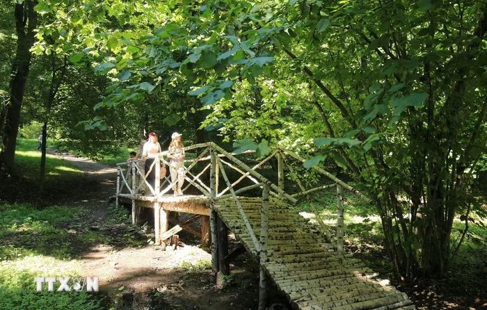 Du khách khám phá không gian xanh ở điền trang Yasnaya Polyana. (Ảnh: Văn Hiếu/TTXVN)