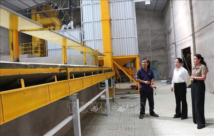 Ông Trần Văn Chung, Chủ tịch Hội đồng quản trị Hợp tác xã Nông nghiệp Phát Tài, xã Châu Thành, giới thiệu dây chuyền sản xuất lúa giống và hệ thống sấy do tỉnh Vĩnh Long hỗ trợ. Ảnh: Thanh Hòa/TTXVN