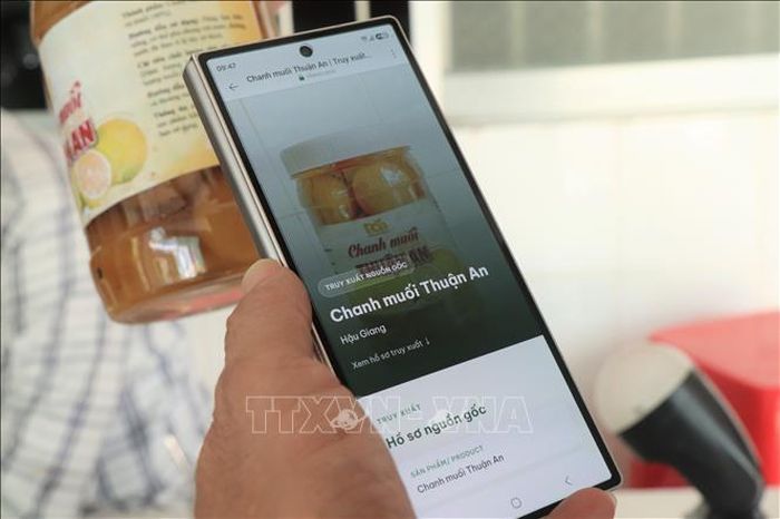 Nhãn hiệu tập thể và nhãn hiệu chứng nhận đang trở thành công cụ quan trọng trong bảo hộ quyền sở hữu trí tuệ, góp phần nâng cao giá trị, uy tín và khả năng cạnh tranh của các sản phẩm OCOP trên thị trường.