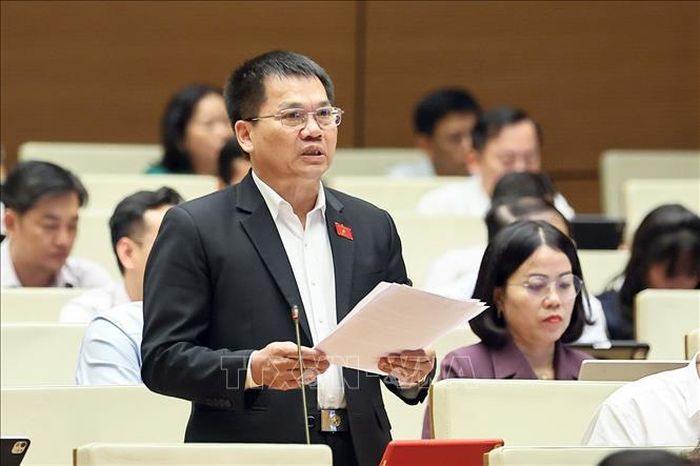 Đại biểu Quốc hội tỉnh Lâm Đồng Dương Khắc Mai phát biểu. Ảnh: Doãn Tấn/TTXVN